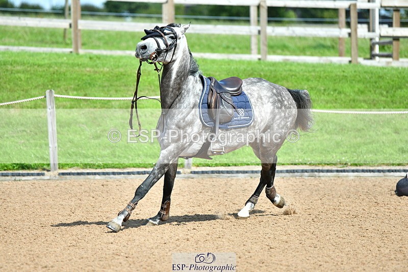 230723A-154055-13473 - Cls 36, 7 Yr Olds 1.30m