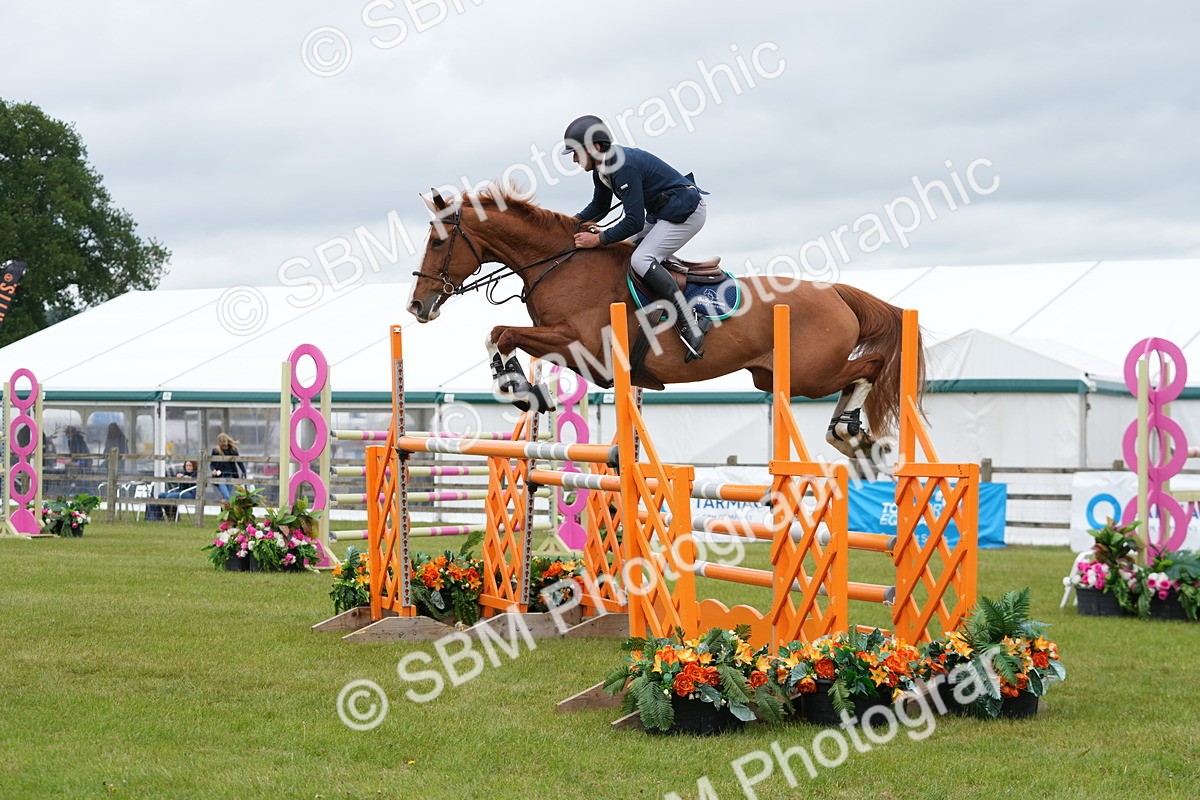 SBM_03470 - Class 201 - British Horse Feeds Speedi Beet Horse of the Year Show Grade  C