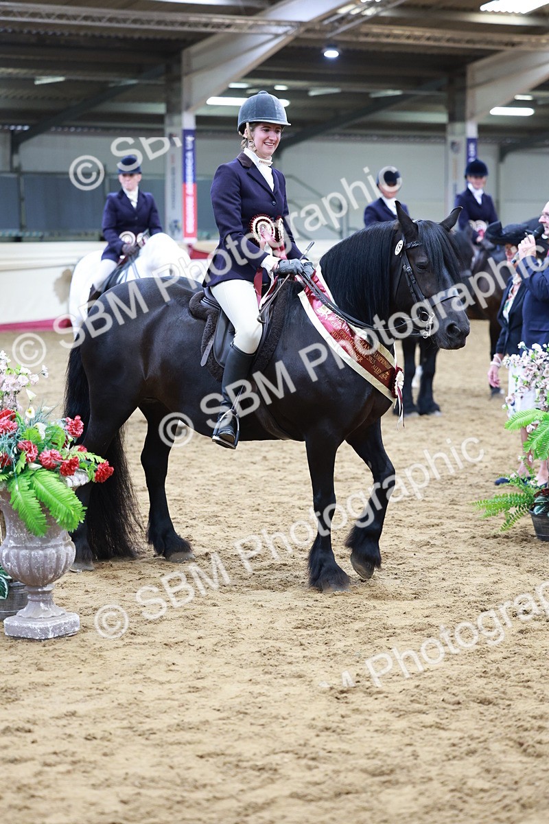 SBM_18906 - Class 952 - M&M Ridden Supreme Final