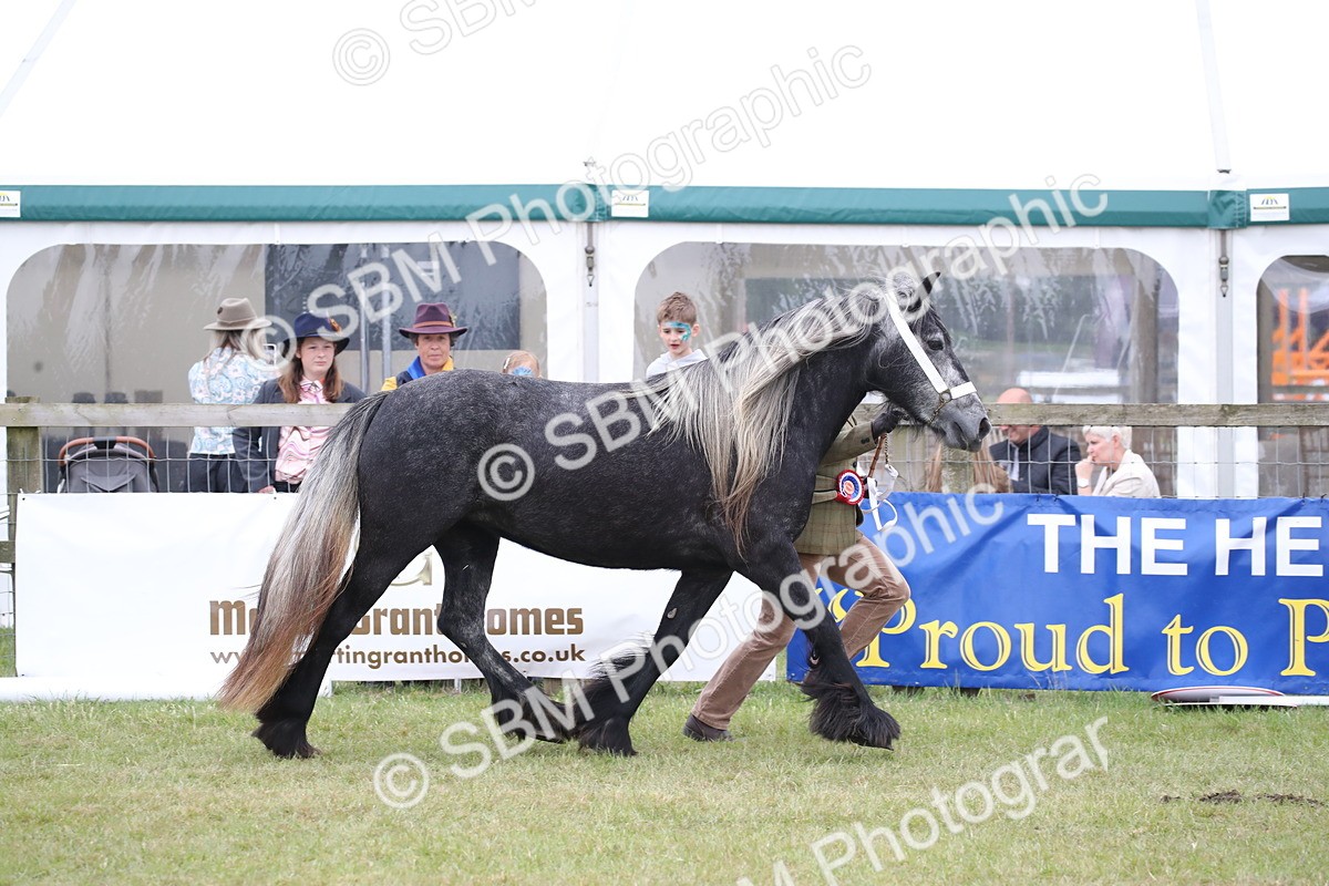 SBM_09797 - Ch 50 - Price Family Supreme In Hand