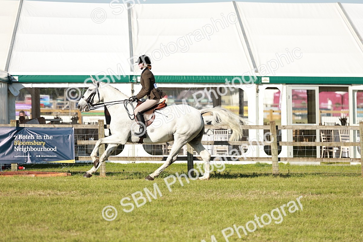 SBM_20009 - Class 115-116 - LIHS BSHA Rising Star Working Hunter & Show Horse
