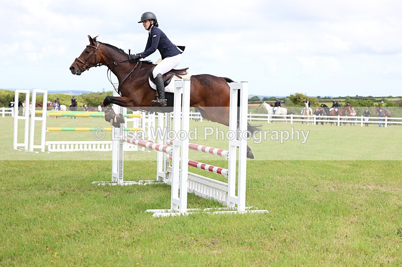 3E7A7576 - Class 13: Senior British Novice/90cm open