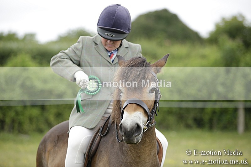 BVR160717-1349 - Ring 1 BVRC Show 16/07/17