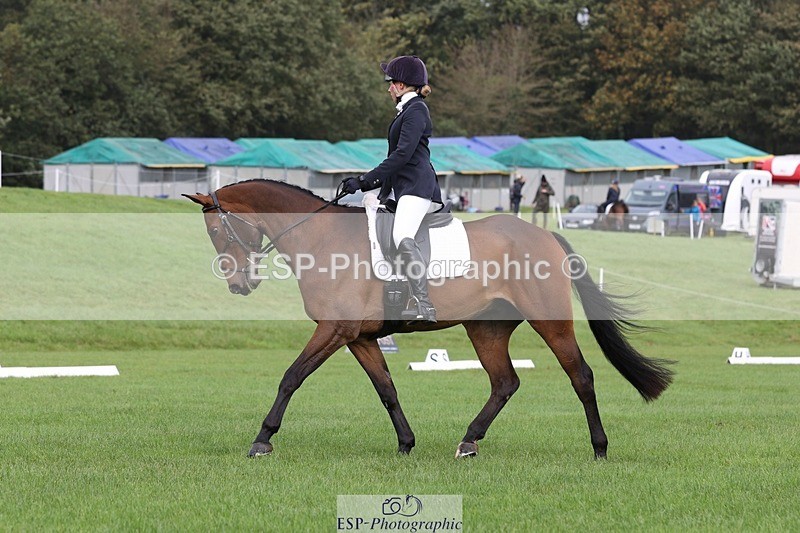 231019-115809-03475 - 617-MR.MISCHIEVOUS-Megan.Brown-DR