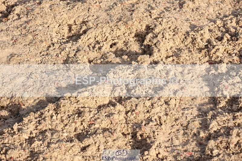 250629-190940-14114 - Cls 39-41 Children on Horses