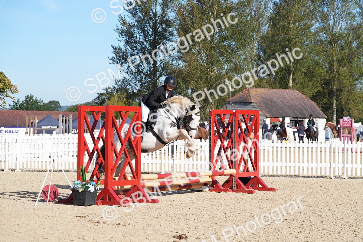 SBM_36113 - J 20 - Junior Horse 50cm Championship