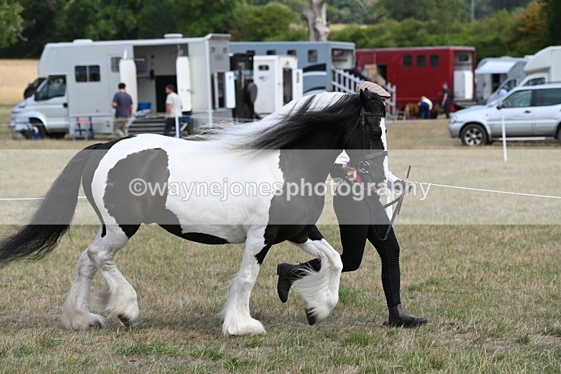 WJ6_6518 - Class 20 In-hand Cob