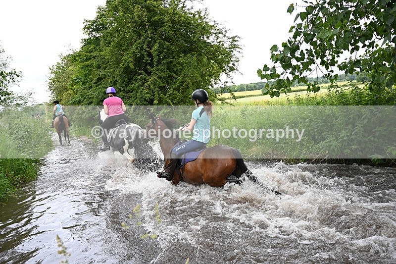 WJ7_2557 - Camera 2 Water Crossing