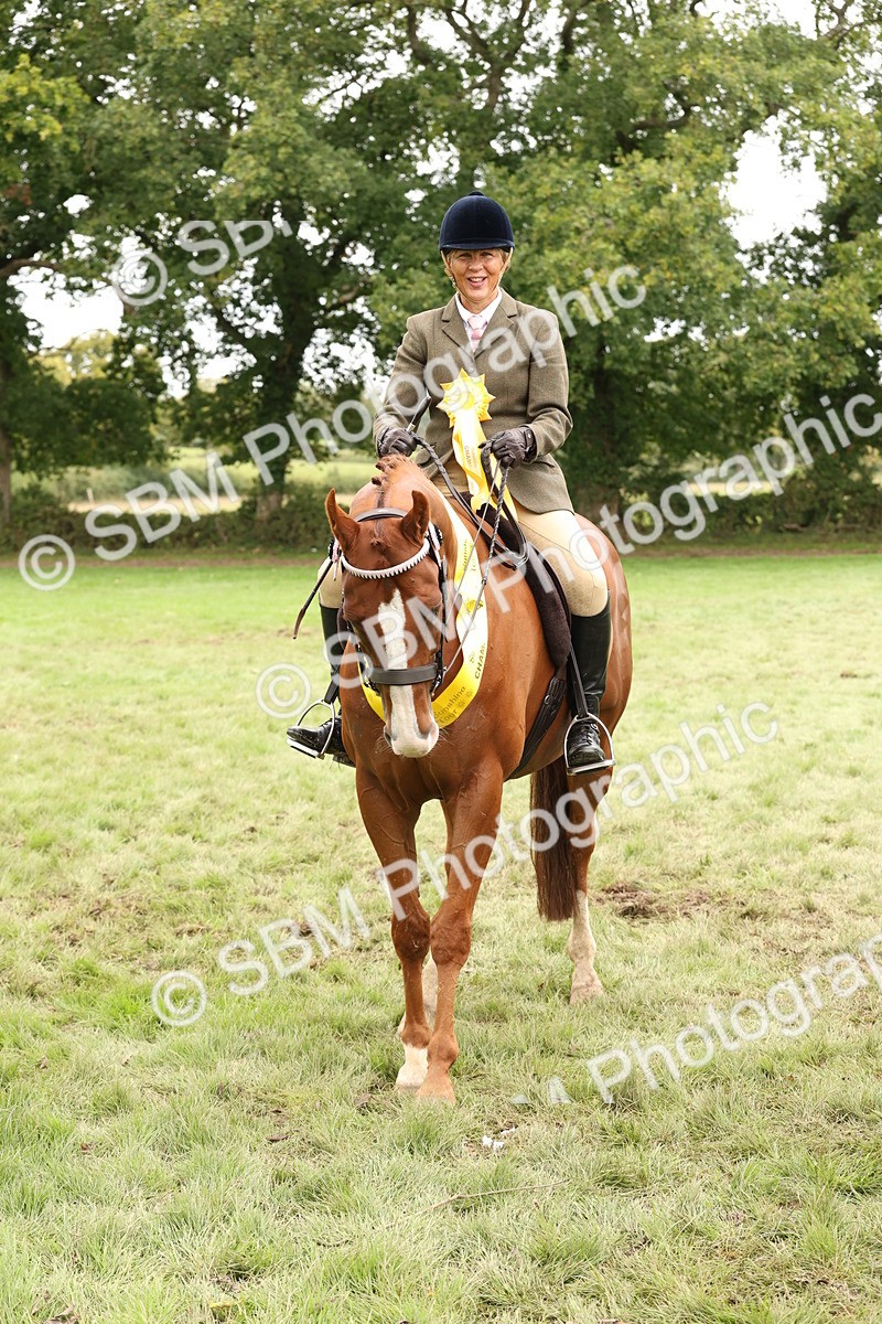 SBM_64334 - S65 - Riding Horse & Hack & Thoroughbred Ridden