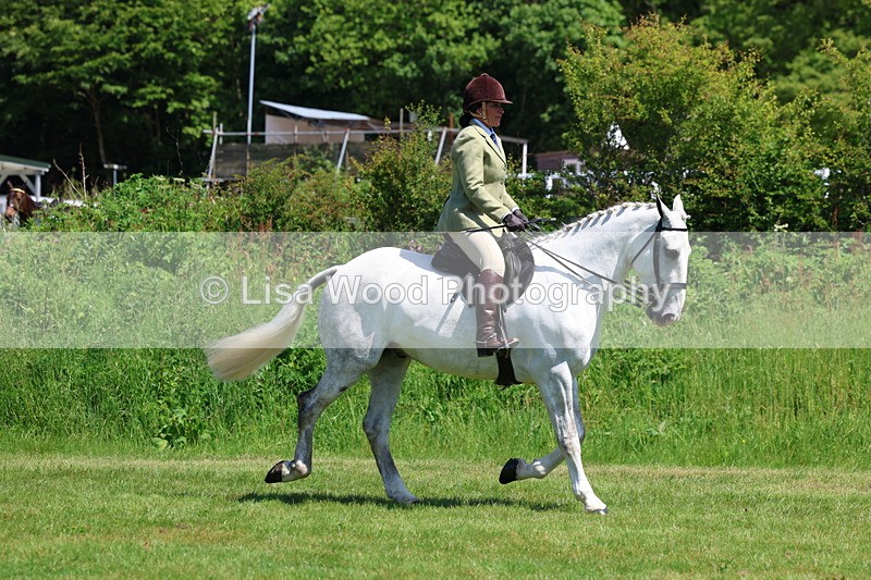 3E7A8196 - Class 13: Ridden Hunter