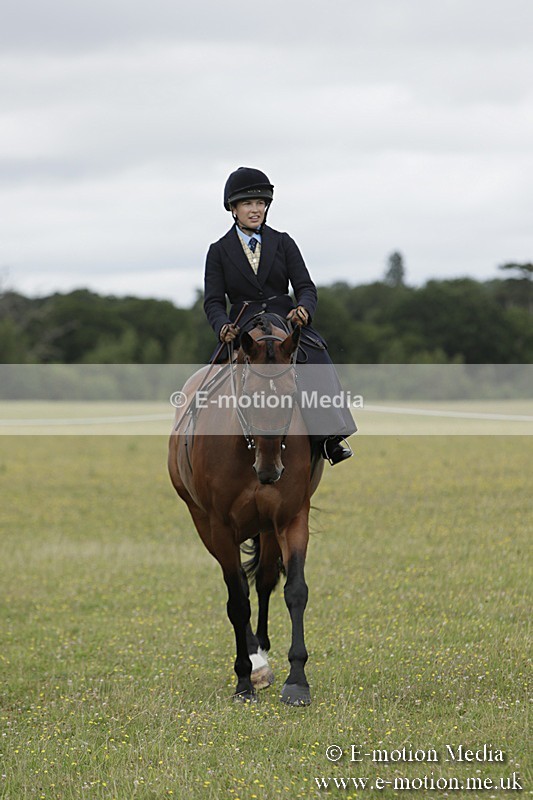 BVR160717-2392 - Side Saddle Classes 16/07/17