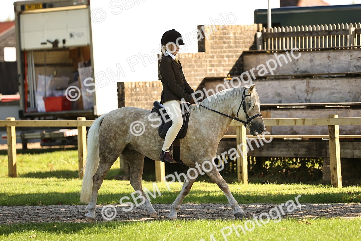 SBM_19070 - S3 - TSR Ridden Pony Showing