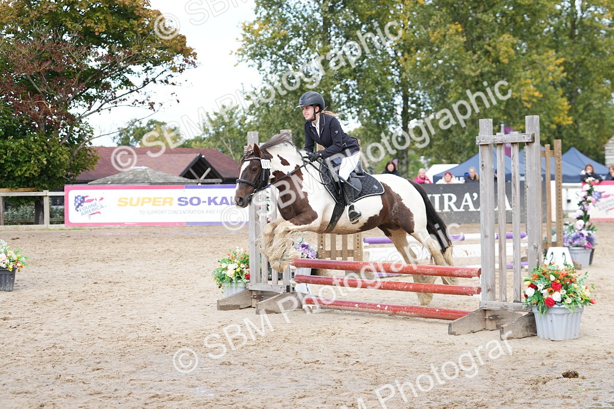 SBM_40730 - Supreme Championship Pony 50-55cm