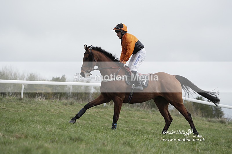 PtP 260323 0668 - New Forest Hounds Point-to-Point Larkhill 26/03/23
