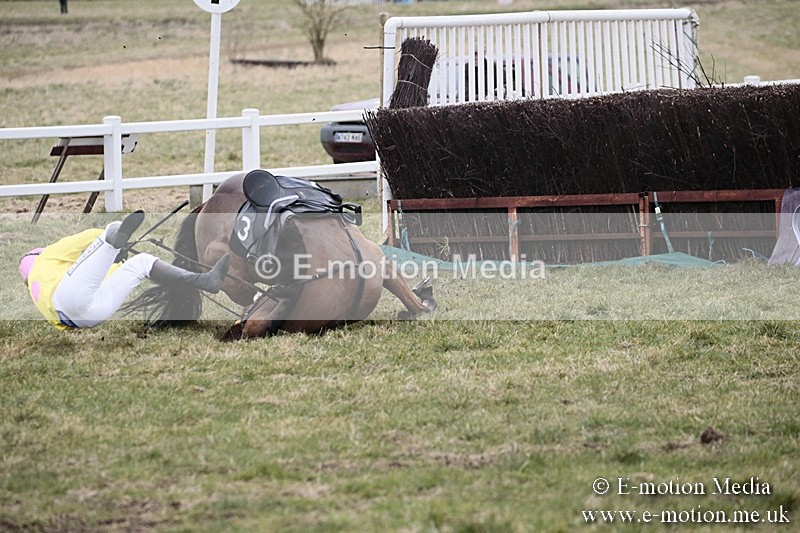 PtP 180218 284 - Combined Services Point-to-Point Larkhill 18/02/18