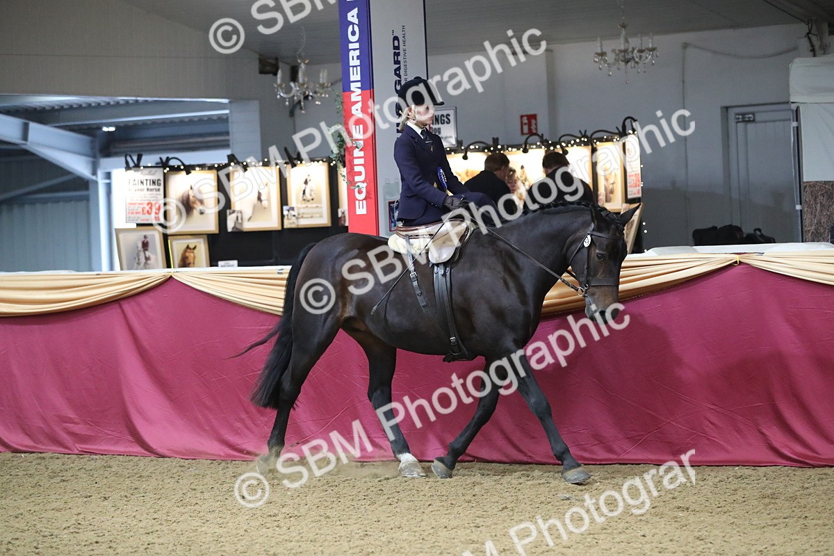SBM_09390 - Class 101 Equitation (best rider), Junior
