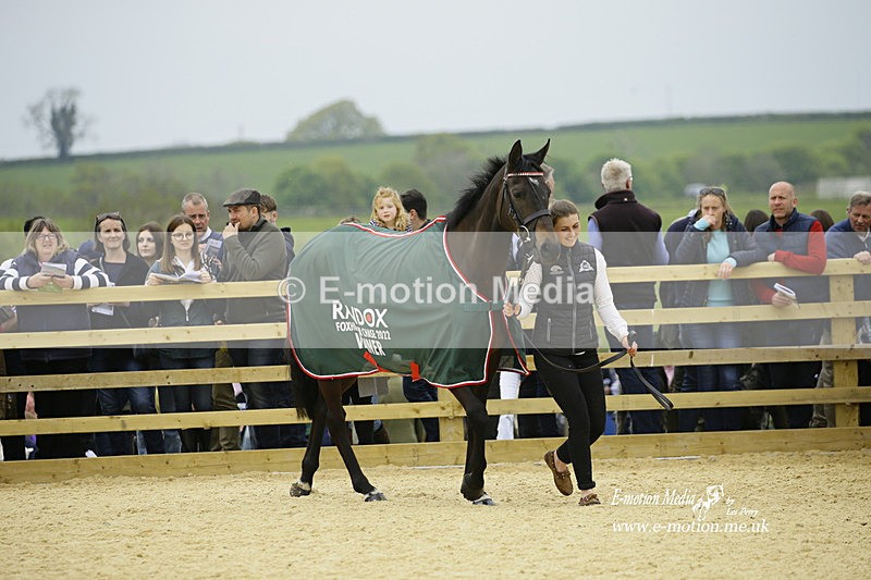 PtP 020522 172 - Mollington Races Point-to-Point 02/05/22