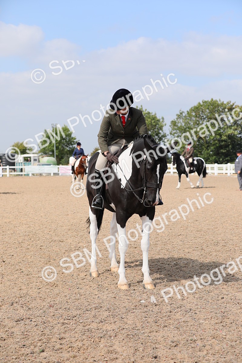 SBM_13479 - Class 308 Ridden Coloured Horse