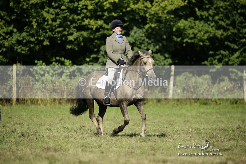 BVRC 120921 155 - Bourne Valley Riding Club UA Dressage & Show Jumping 12/09/21