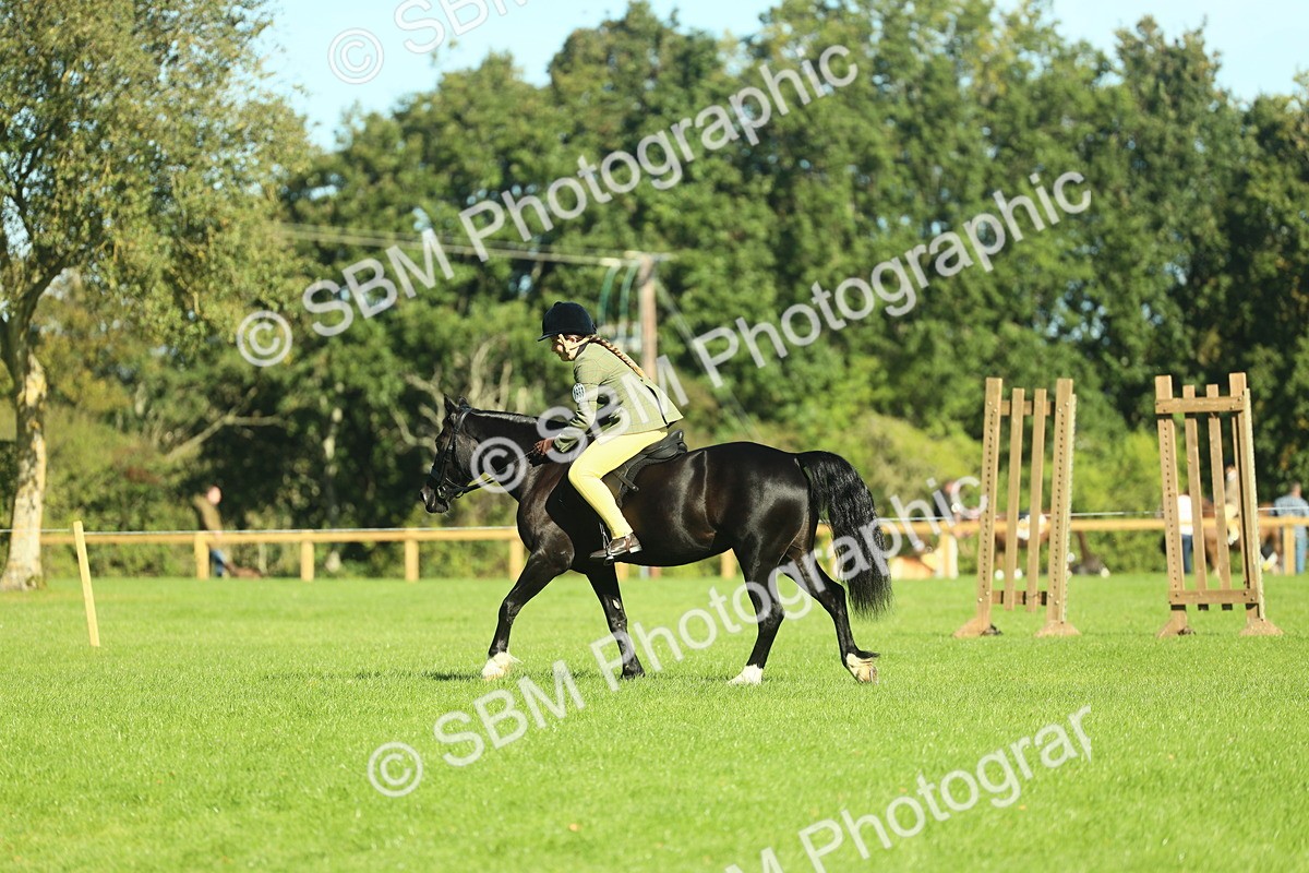 SBM_37408 - S29 - Novice & Newcomers Working Hunter Pony