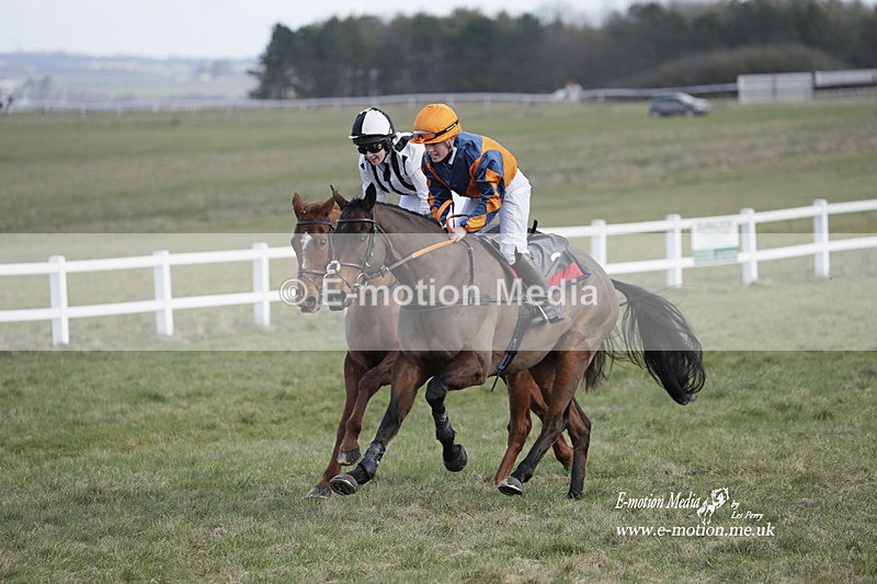 PtP 260223 99 - South & West Wilts Point-to-Point Larkhill 26/02/23