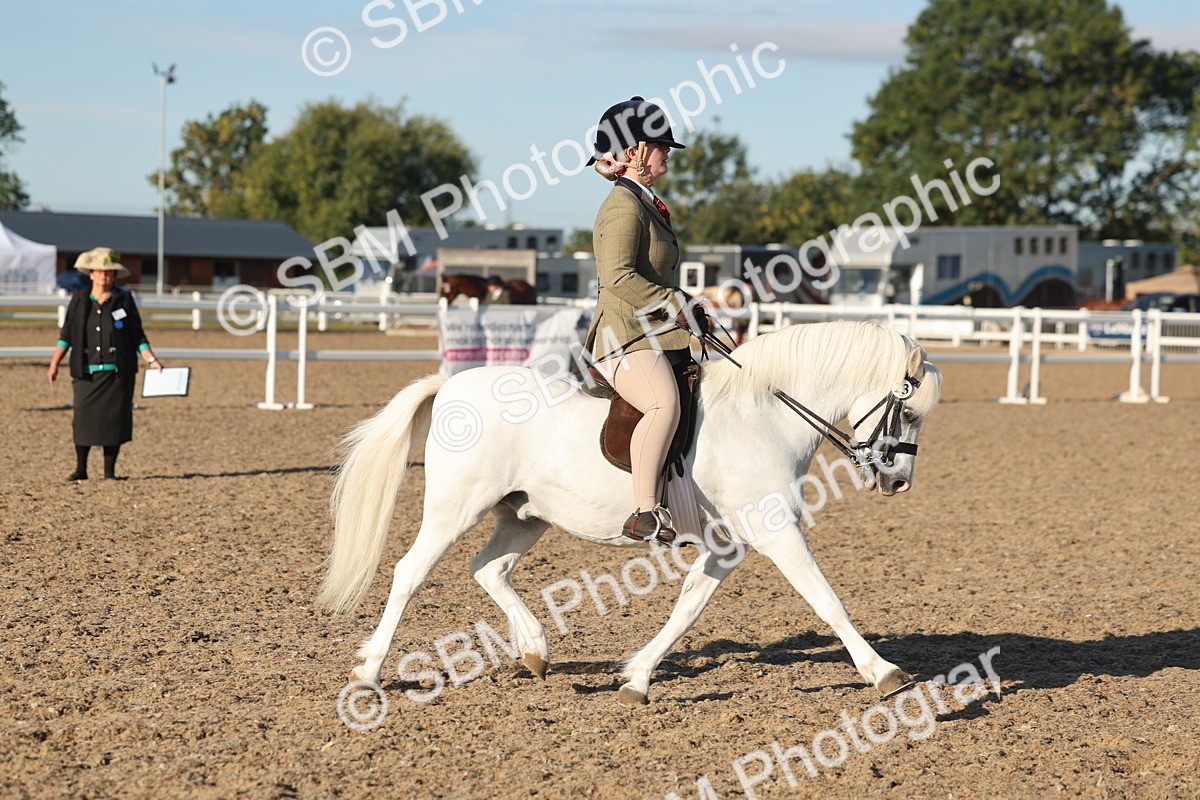 SBM_10909 - Class 301 - Ridden M&M Small Breeds