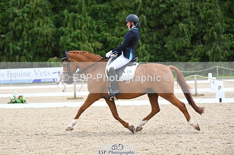 230813-134154-07626 - Cls 13 Medium Bronze 13.15 to End