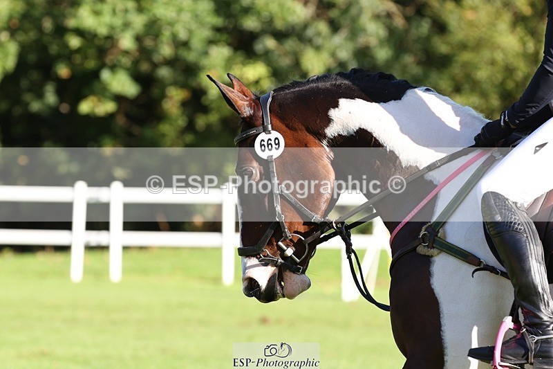 231022-101455-24415 - 669-FOXRIDGE.HIGH.JINX-Claire.Deuten-TrotUp+SJ