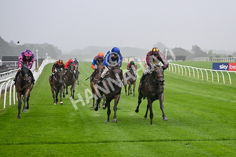 230725-Race 3-Emerald Army-0050 - Race 3