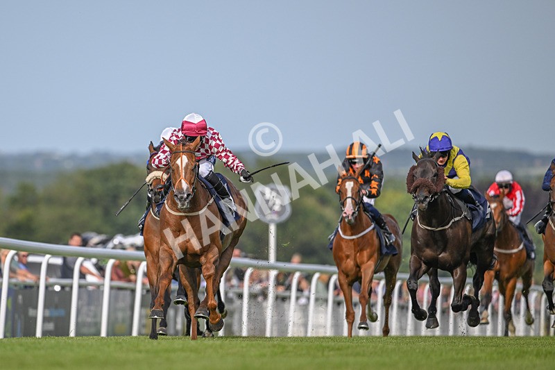 050724-Race 2-Ventura Express-0529 - Race 2