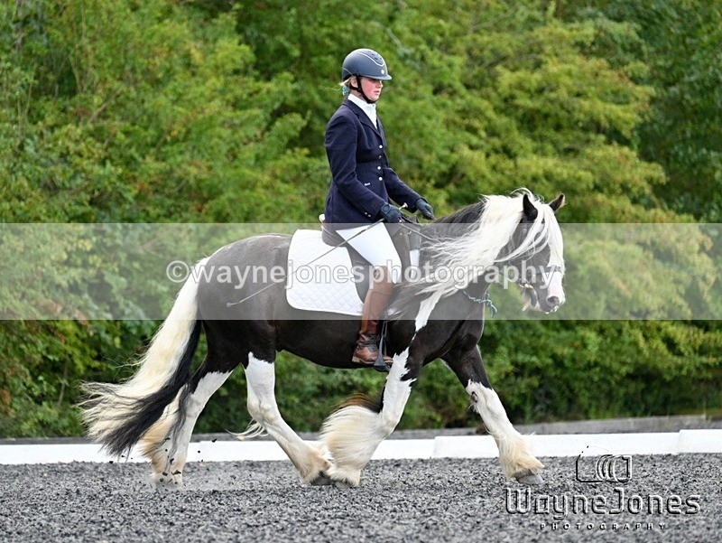 WJ7_8501 - Edited examples