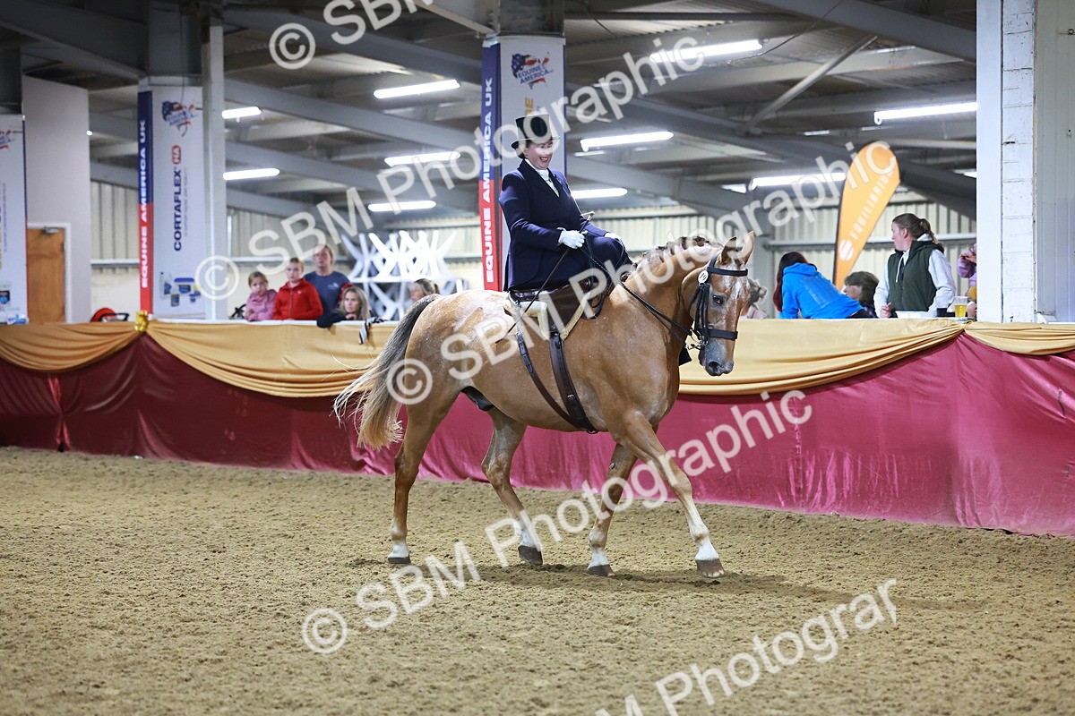 SBM_15682 - Class T - Working Veteran Champ
