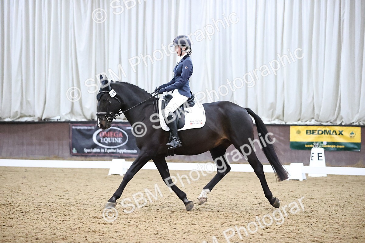 SBM_004352 - Intermediate