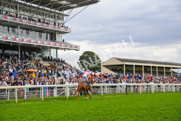 250823-Race 4-Live In The Dream-0635 - Race 4 3.35pm Coolmore Wootton Bassett Nunthorpe Stakes
