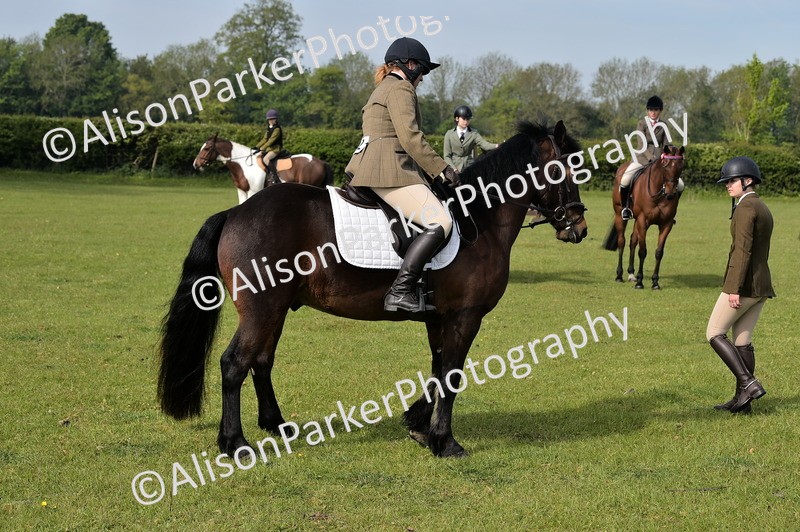 20260426-0910 - Class 18 - Novice Showing