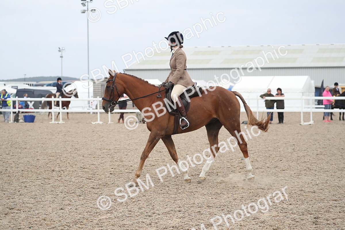SBM_17421 - Class 315 Best Horse/Rider Combination