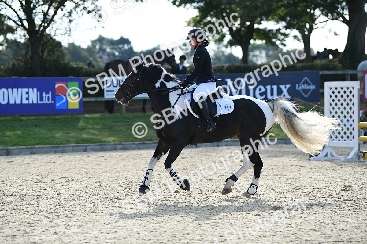 SBM_60758 - j25 - Junior Horse 80cm Championship