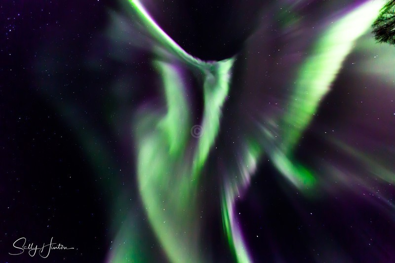 Aurora Fairbanks 7