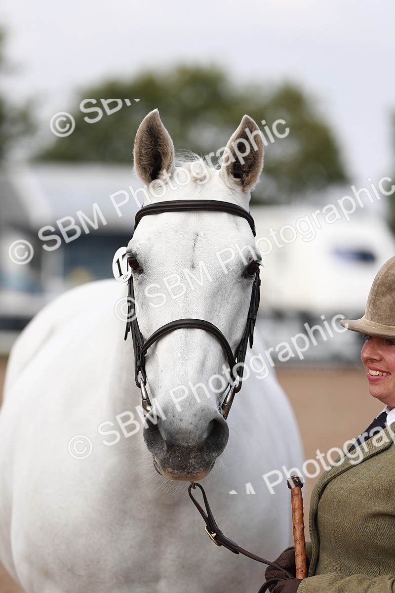 SBM_13294 - Class 208 IH Veteran Horse