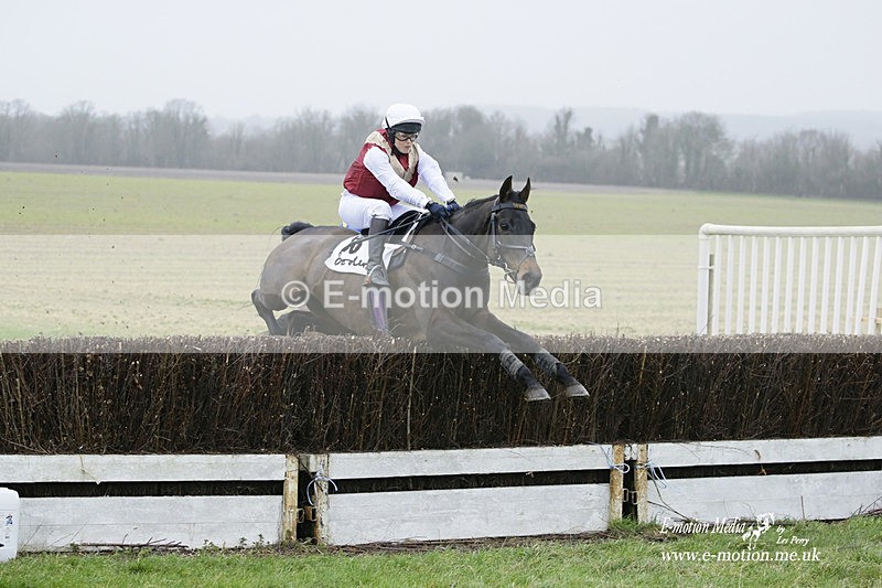 PtP 200222 481 - Countryside Alliance PtP Badbury Rings 20/02/22