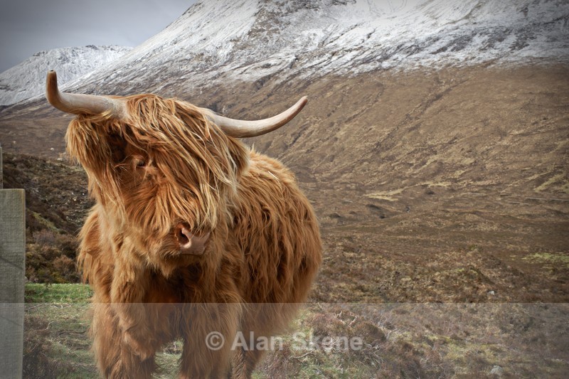 DSC04040 - Skye