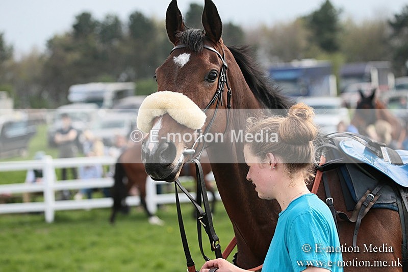 PtP 210418 301 - South & West Wilts Point-to-Point Larkhill 21/04/18
