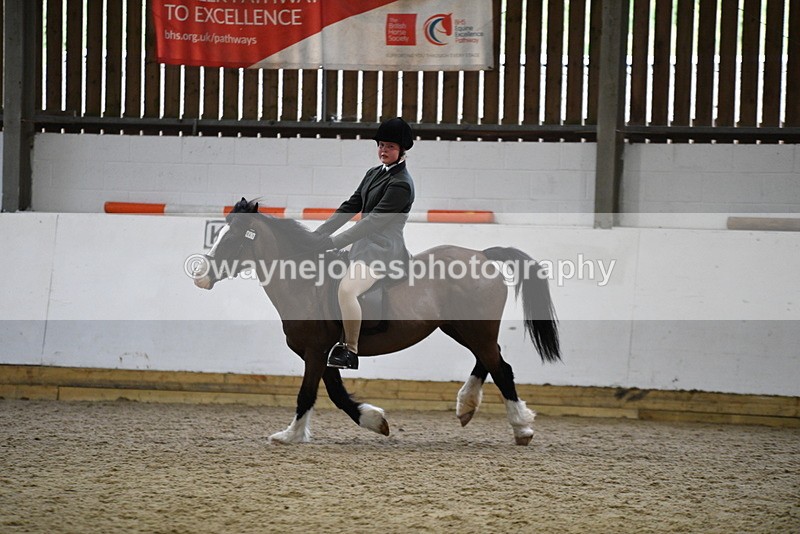 WJ5_7235 - Class 11 Ridden PC - RC Pony
