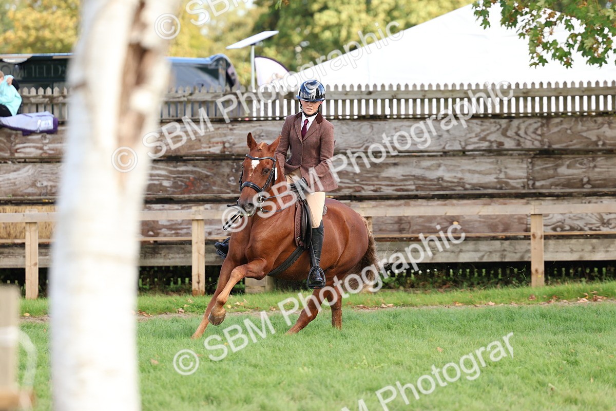 SBM_47779 - S28 - Veteran Ridden