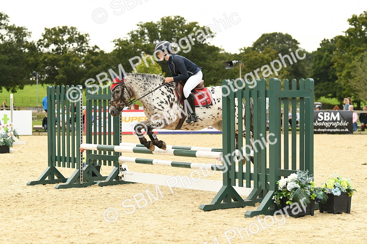 SBM_73094 - J16 - Junior Pony 75cm Championship