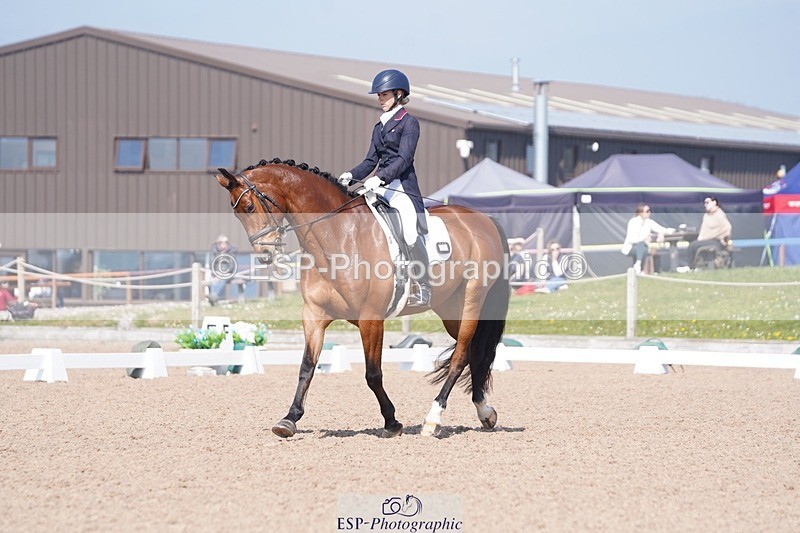 250404-122534-05651 - 028-Elizabeth.Allen-Heraldik