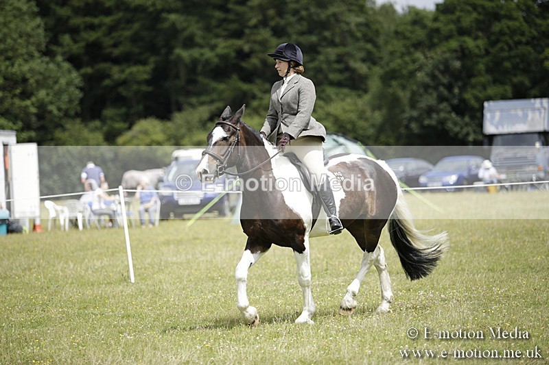 BVR160717-1903 - Ring 1 BVRC Show 16/07/17