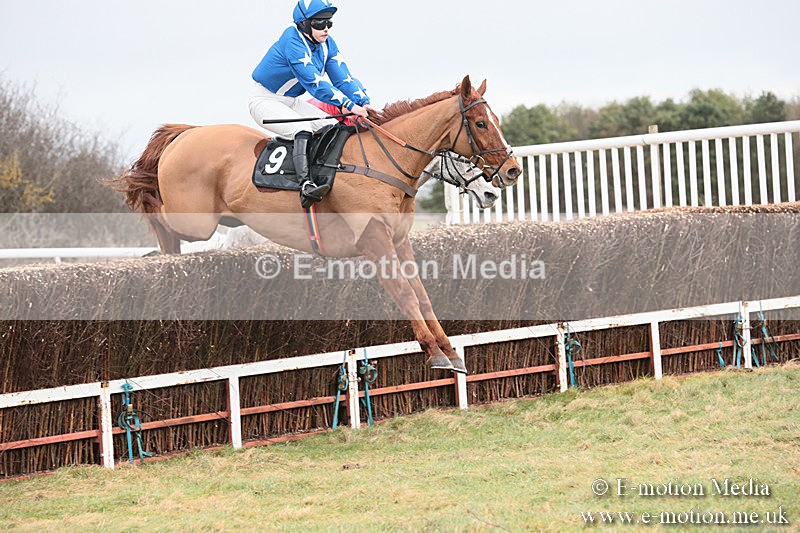 PtP 230119 259 - Royal Artillery Point-to-Point  - Larkhill  - 26/01/19
