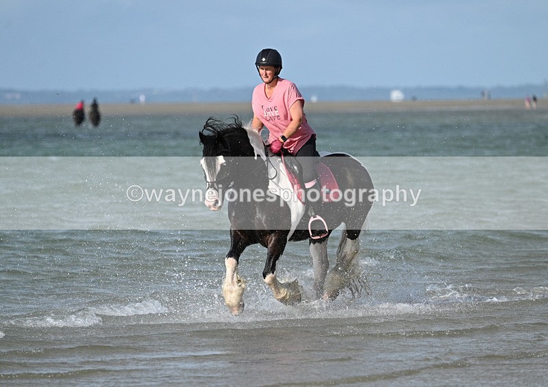 WJ7_3900 - Kellie & Churchill ... do Hayling Island 25-08-24