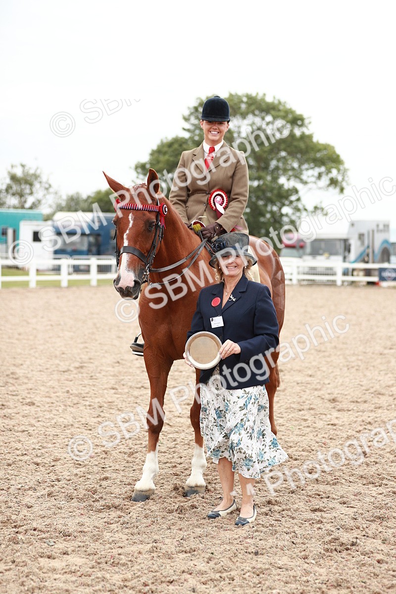 SBM_17625 - Class 215 Ridden Hack/ Riding Horse